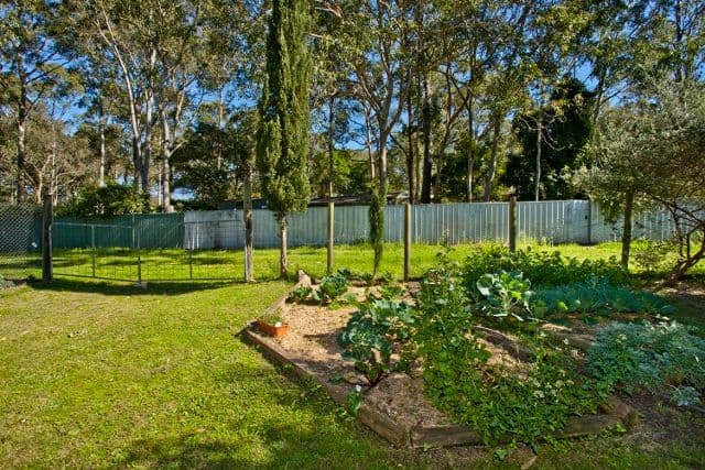 42 Warren Street, SEAHAM NSW 2324, Seaham - Thumbnail 3