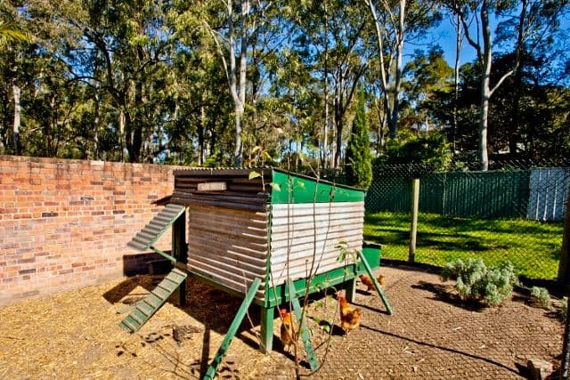 42 Warren Street, SEAHAM NSW 2324, Seaham - Thumbnail 4