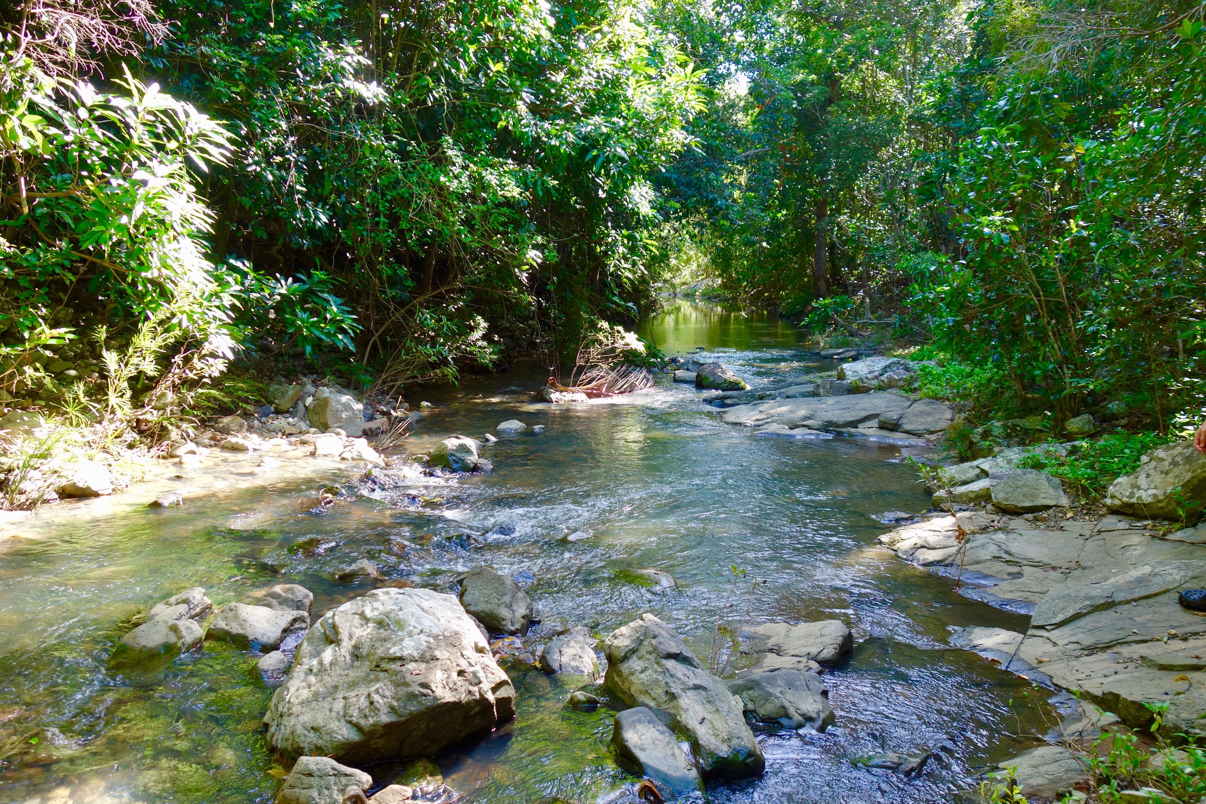 133 Brandy Creek Road, Brandy Creek QLD 4800, Brandy Creek - Thumbnail 2
