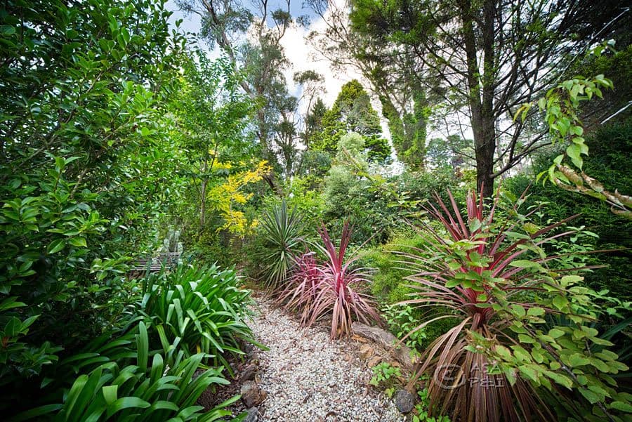 7 Heath Street, Blackheath NSW 2785, Blackheath - Thumbnail 7
