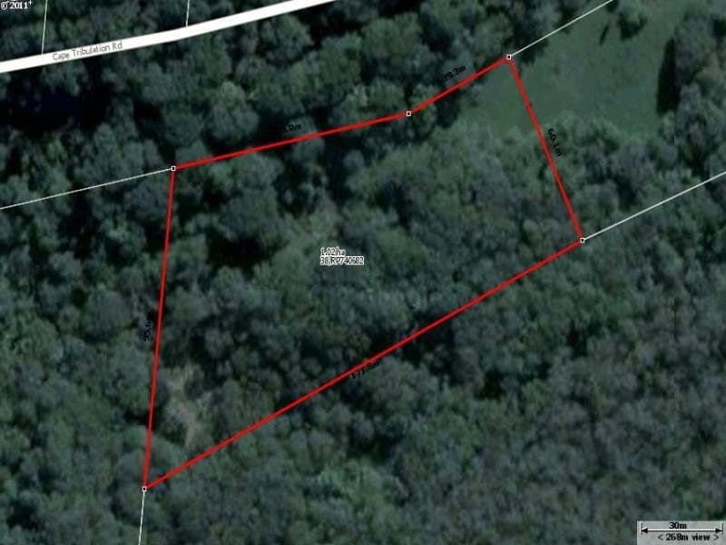 38 Cape Tribulation Road, DAINTREE QLD 4873, Daintree - Image 1