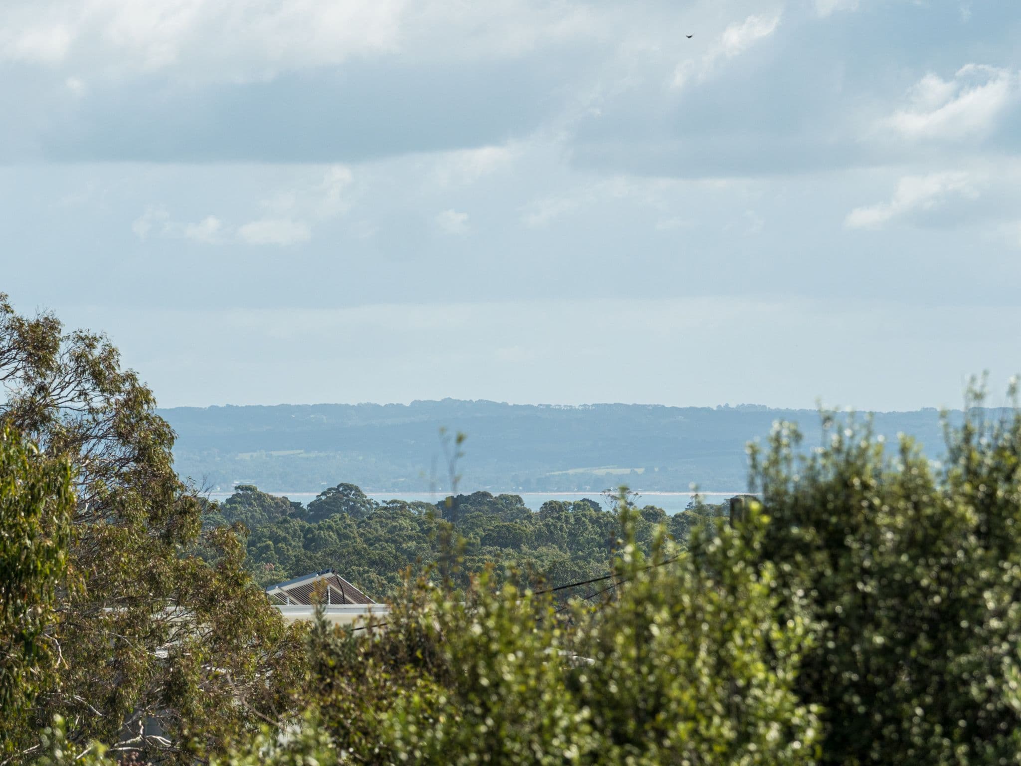 10 Sedgman Road, Wimbledon Heights VIC 3922, Wimbledon Heights - Thumbnail 4
