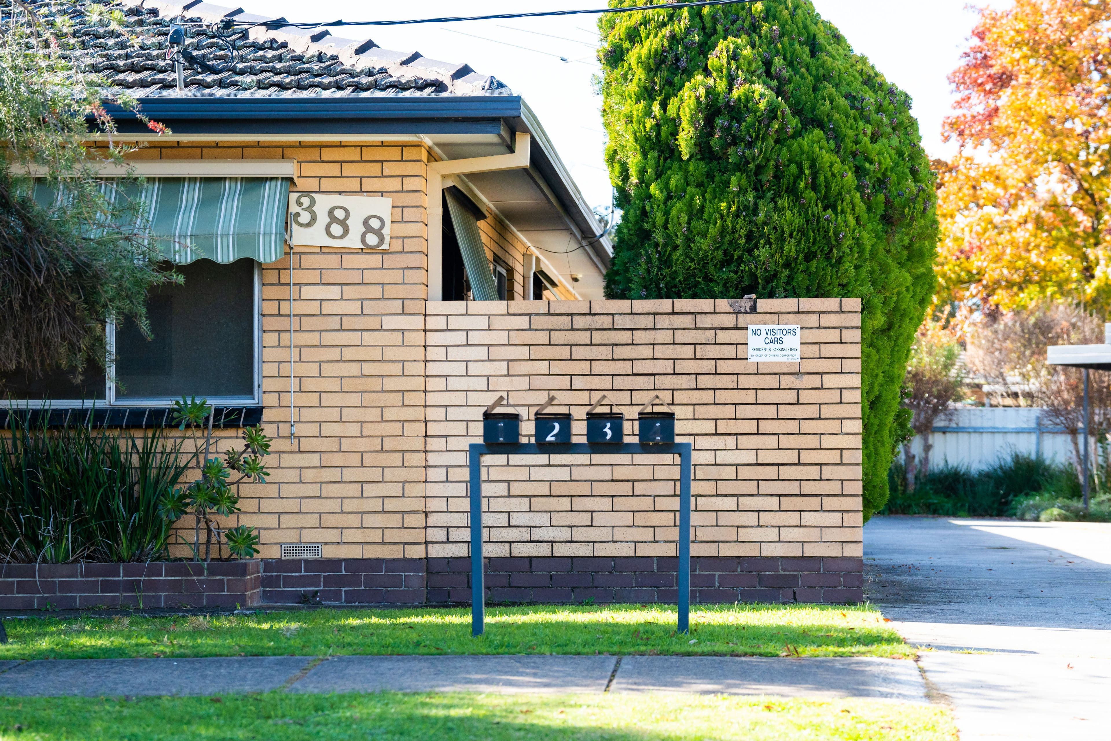 388 Parnall Street, Lavington NSW 2641, Lavington - Thumbnail 7