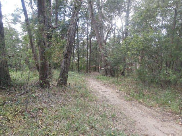 32 Waratah Street, BOWEN MOUNTAIN NSW 2753, Bowen Mountain - Thumbnail 3