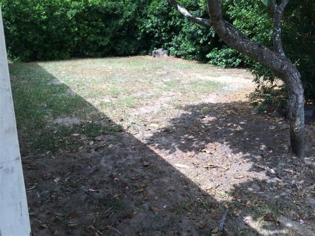 97 Sycamore Parade, Victoria Point QLD 4165, Victoria Point - Thumbnail 7
