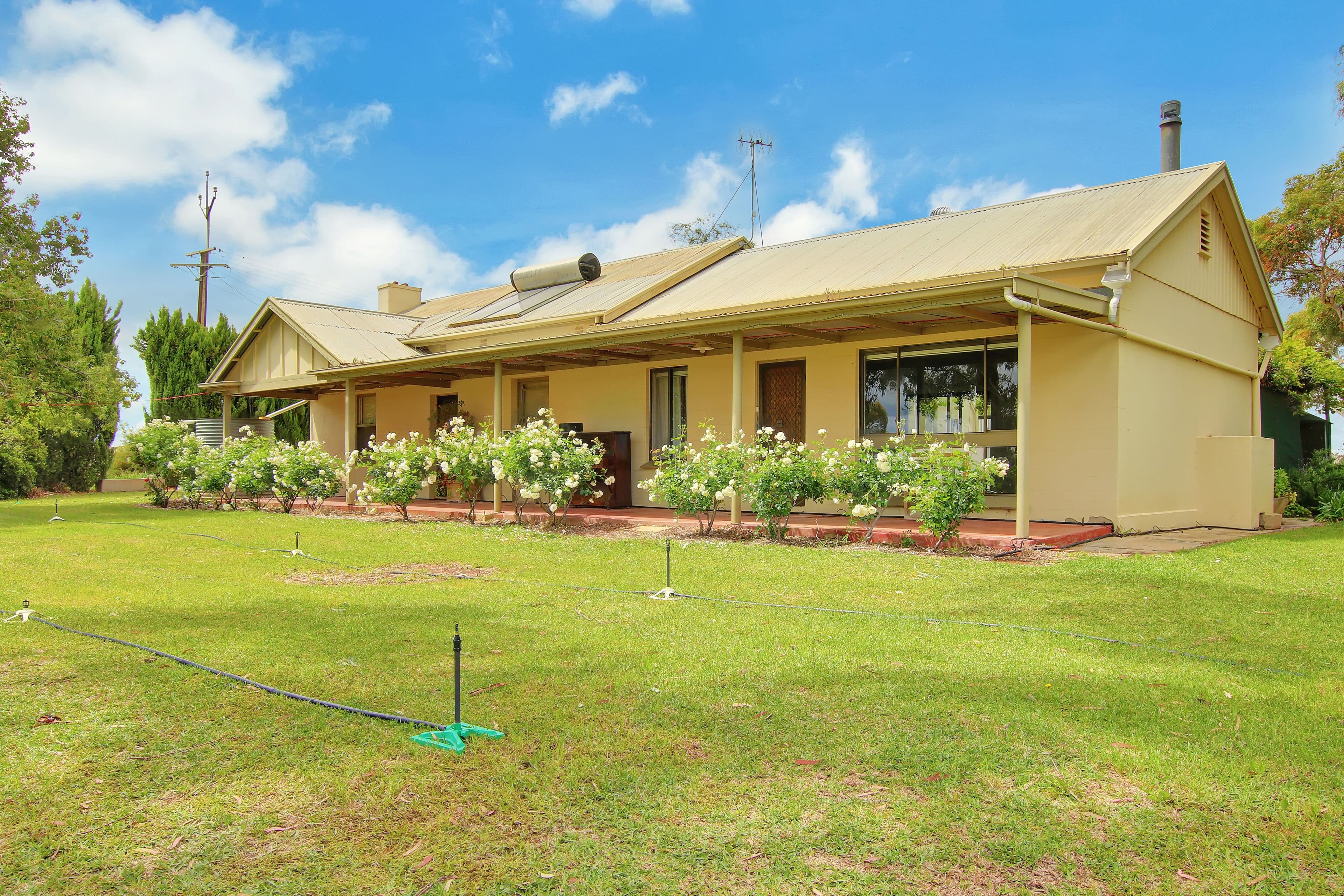 36 Mattner Road, Waikerie SA 5330, Waikerie - Image 1