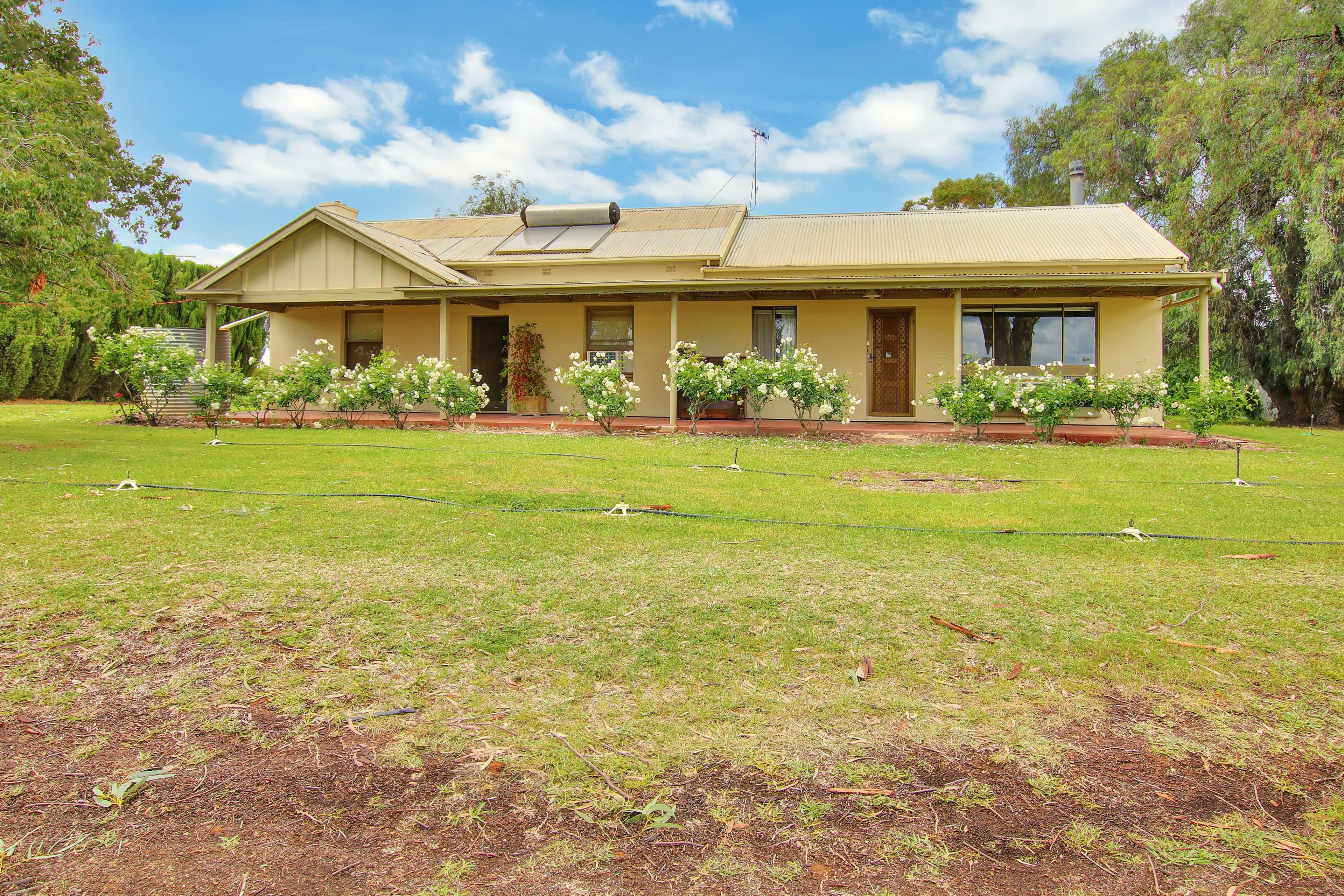 36 Mattner Road, Waikerie SA 5330, Waikerie - Thumbnail 2