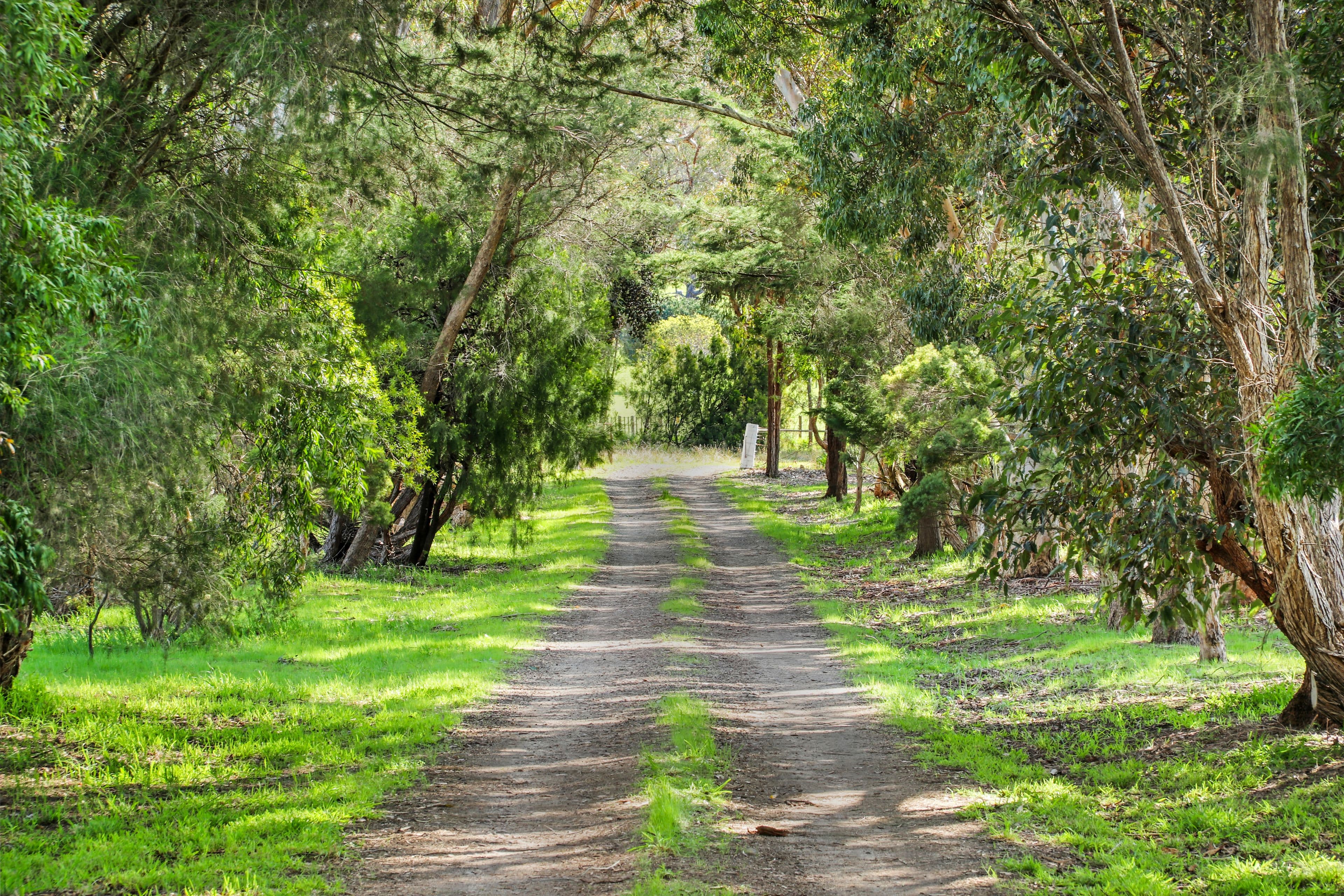 3179 Midland Highway, Lima South VIC 3673, Lima South - Thumbnail 2