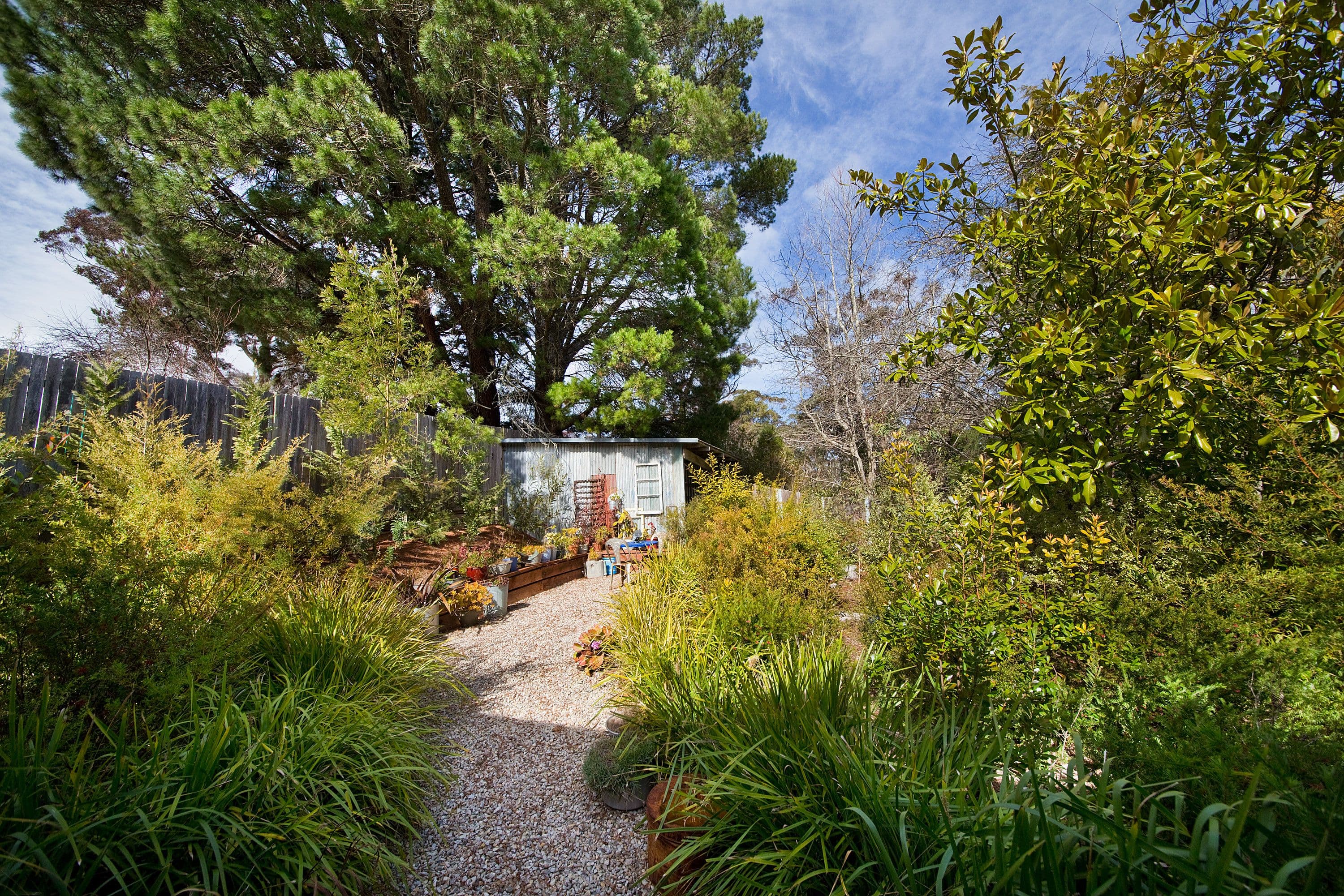 20 Wombat Street, Blackheath - Thumbnail 7