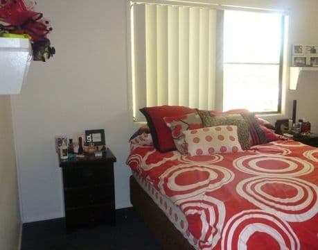 116 Wren Street, LONGREACH QLD 4730, Longreach - Thumbnail 4