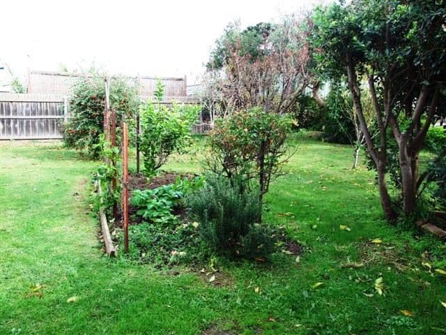 3 Phillip Island Road, SUNSET STRIP VIC 3922, Sunset Strip - Thumbnail 7