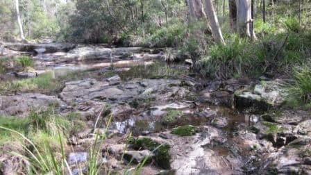 484 Larrys Mountain Road, MORUYA NSW 2537, Moruya - Thumbnail 4
