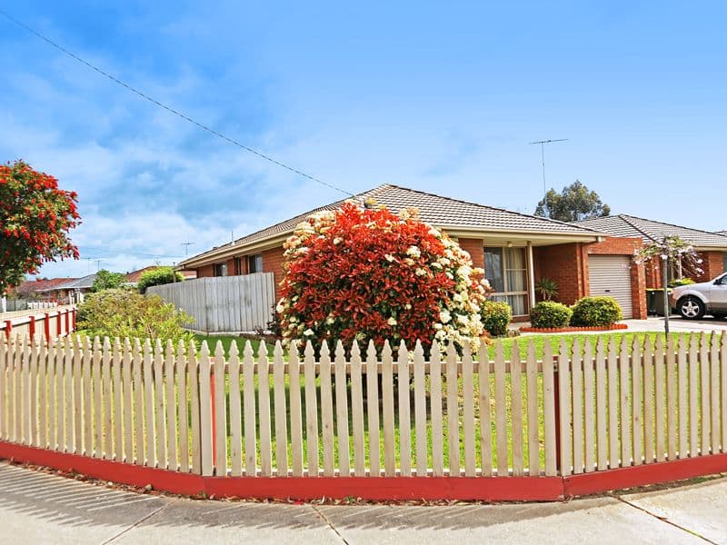 31 Jenolan Avenue, GROVEDALE VIC 3216, Grovedale - Thumbnail 3