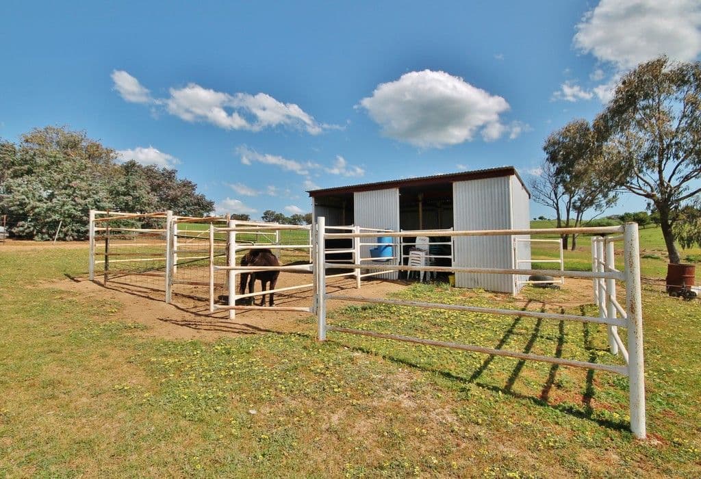 3844 Murringo Road, Young - Thumbnail 3