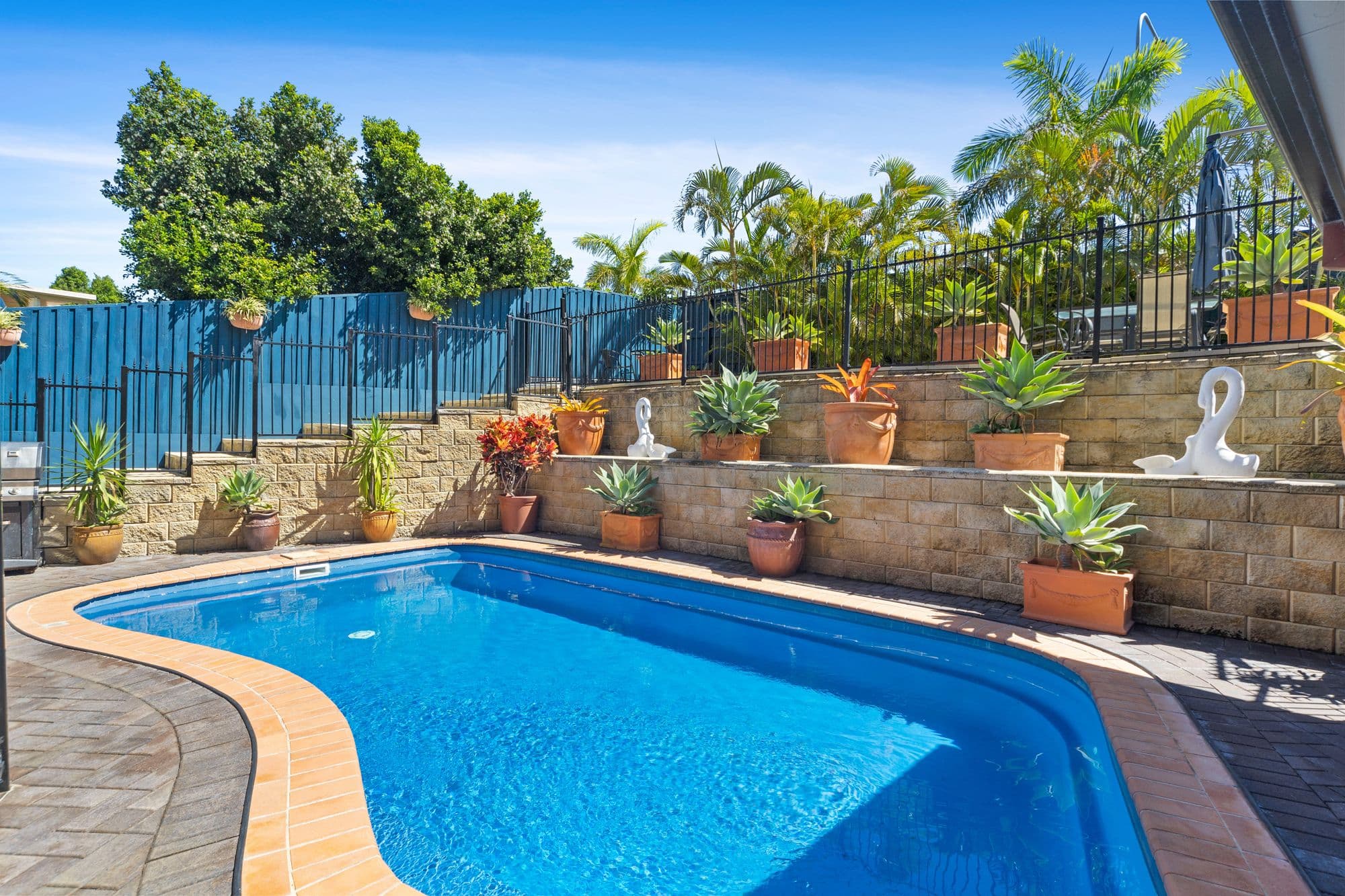 37 Aurora Place, Newport QLD 4020, Newport - Thumbnail 3