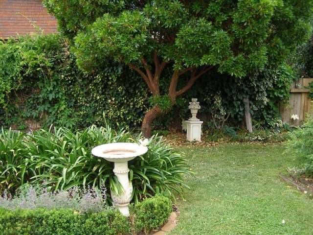 8 March Street, ORANGE NSW 2800, Orange - Thumbnail 8