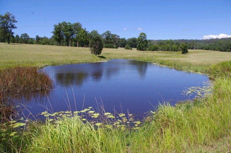 194 Ellems Quarry Road, NANA GLEN NSW 2450, Nana Glen - Image 1