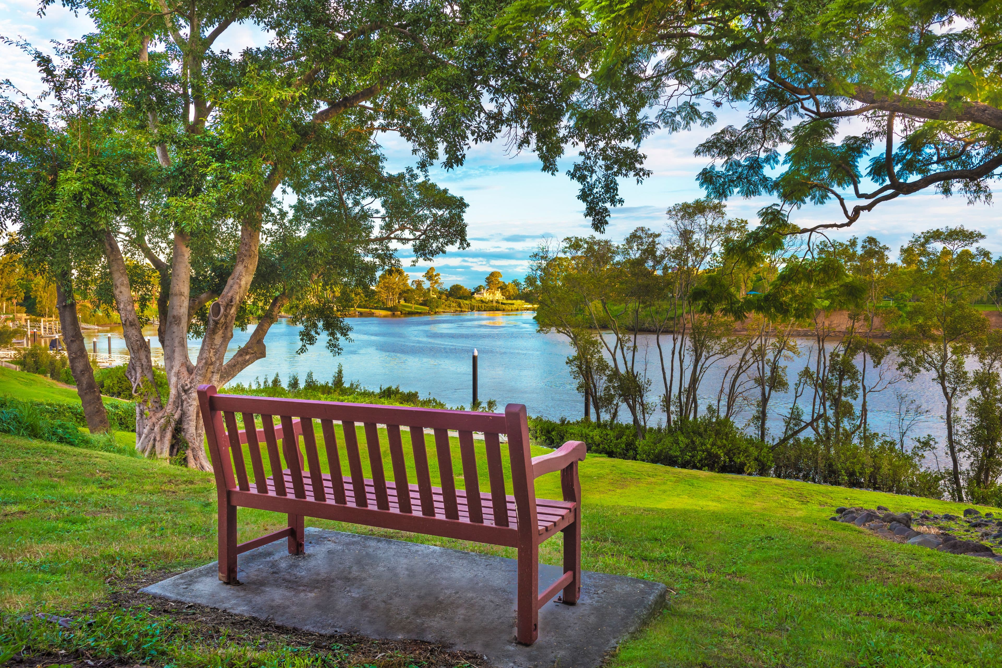 108 Rome Street South, Yeronga QLD 4104, Yeronga - Thumbnail 5