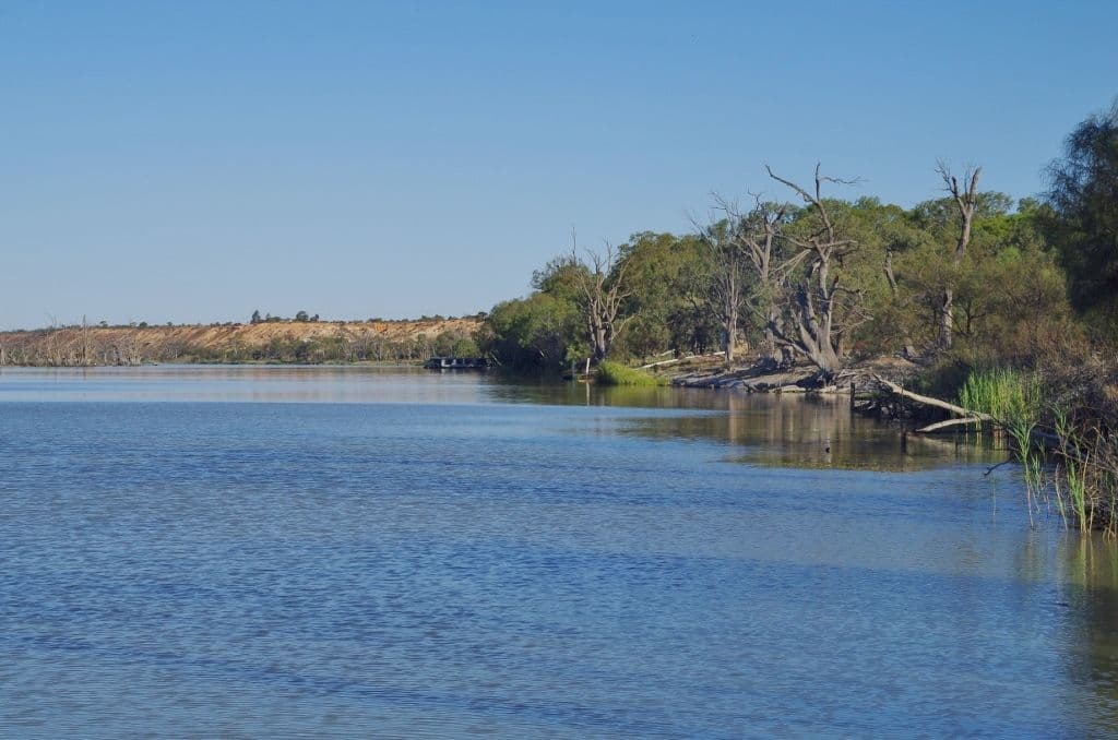 172 Pike Creek Road, Lyrup SA 5343, Lyrup - Image 1