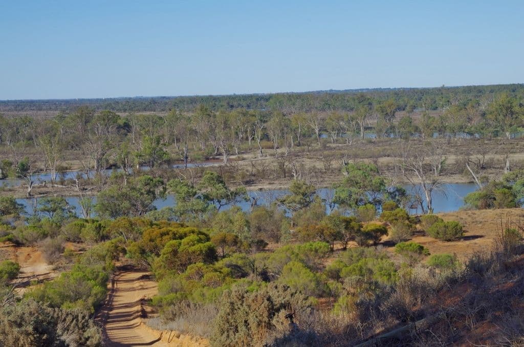 172 Pike Creek Road, Lyrup SA 5343, Lyrup - Thumbnail 2