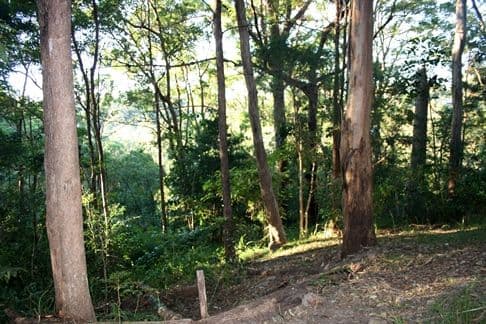 32 Rim Road, BUDERIM QLD 4556, Buderim - Thumbnail 5
