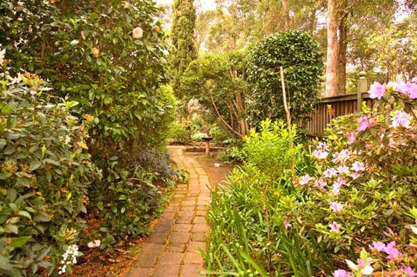 43  The Chase Road, TURRAMURRA NSW 2074, Turramurra - Thumbnail 6