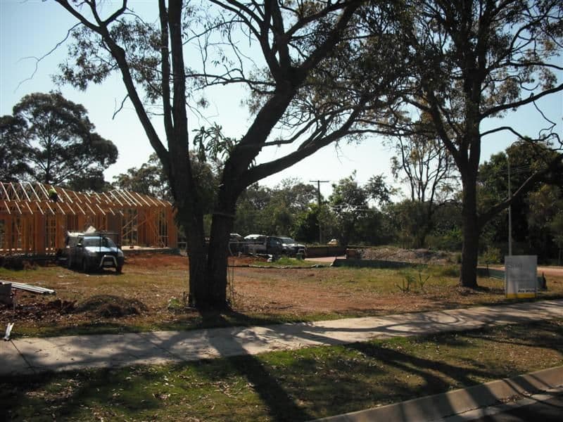 20 Paul Street, BIRKDALE QLD 4159, Birkdale - Thumbnail 2