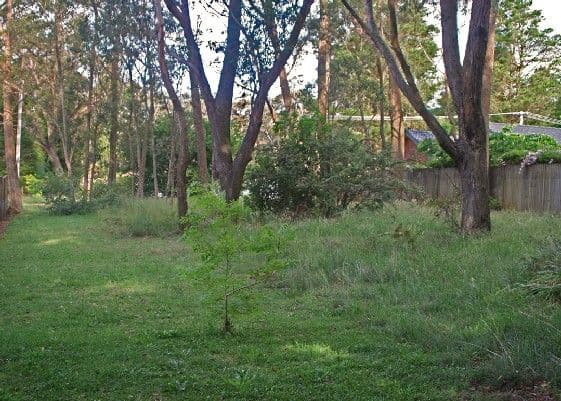 23 Govett Street, Pacific Pines, QLD, 4211, Pacific Pines - Thumbnail 2