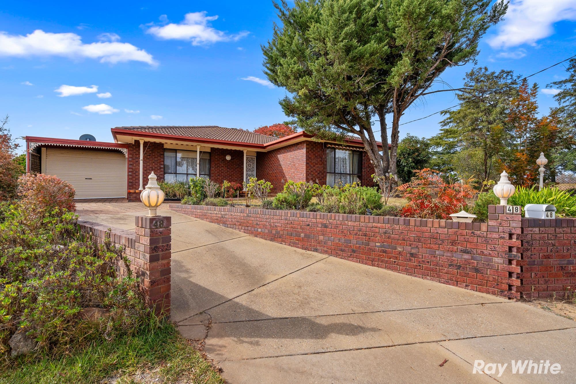 48 Mallory Street, Ashmont NSW 2650, Ashmont - Image 1