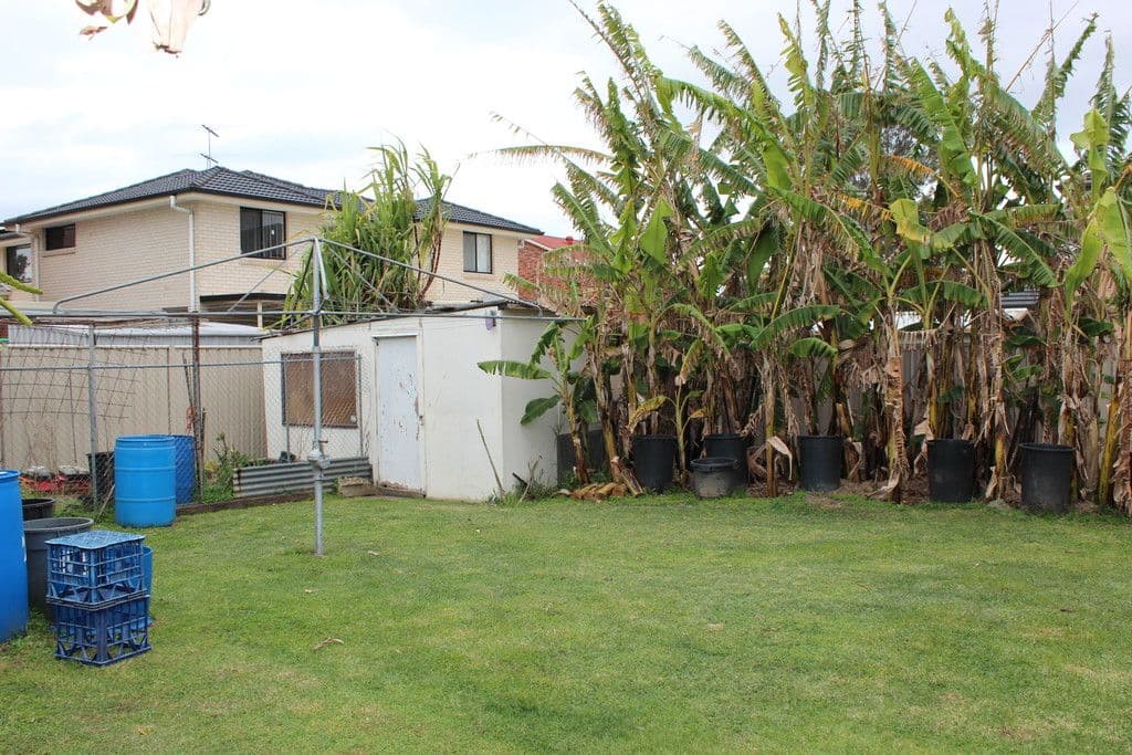 23 George Street, Canley Heights NSW 2166, Canley Heights - Thumbnail 5