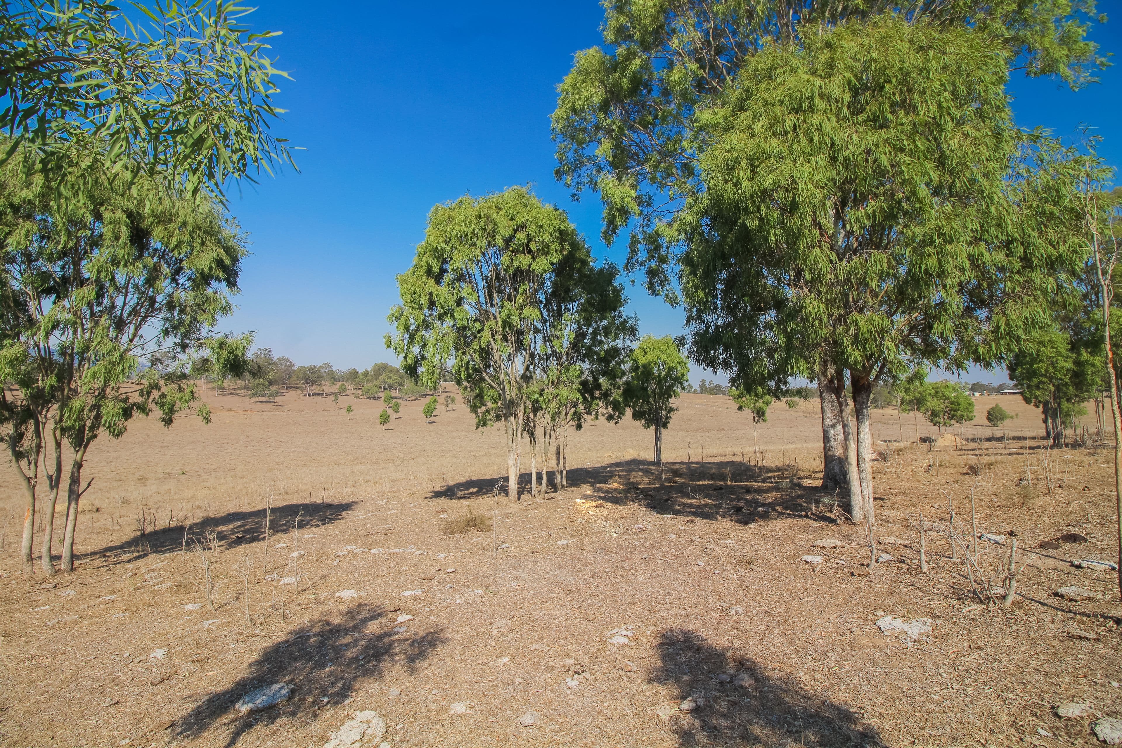 Lot 5 Ipswich Boonah Road, WASHPOOL QLD 4306, Washpool - Thumbnail 4