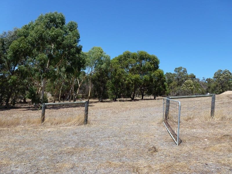 44 Ridgewood Loop, BULLSBROOK WA 6084, Bullsbrook - Thumbnail 5