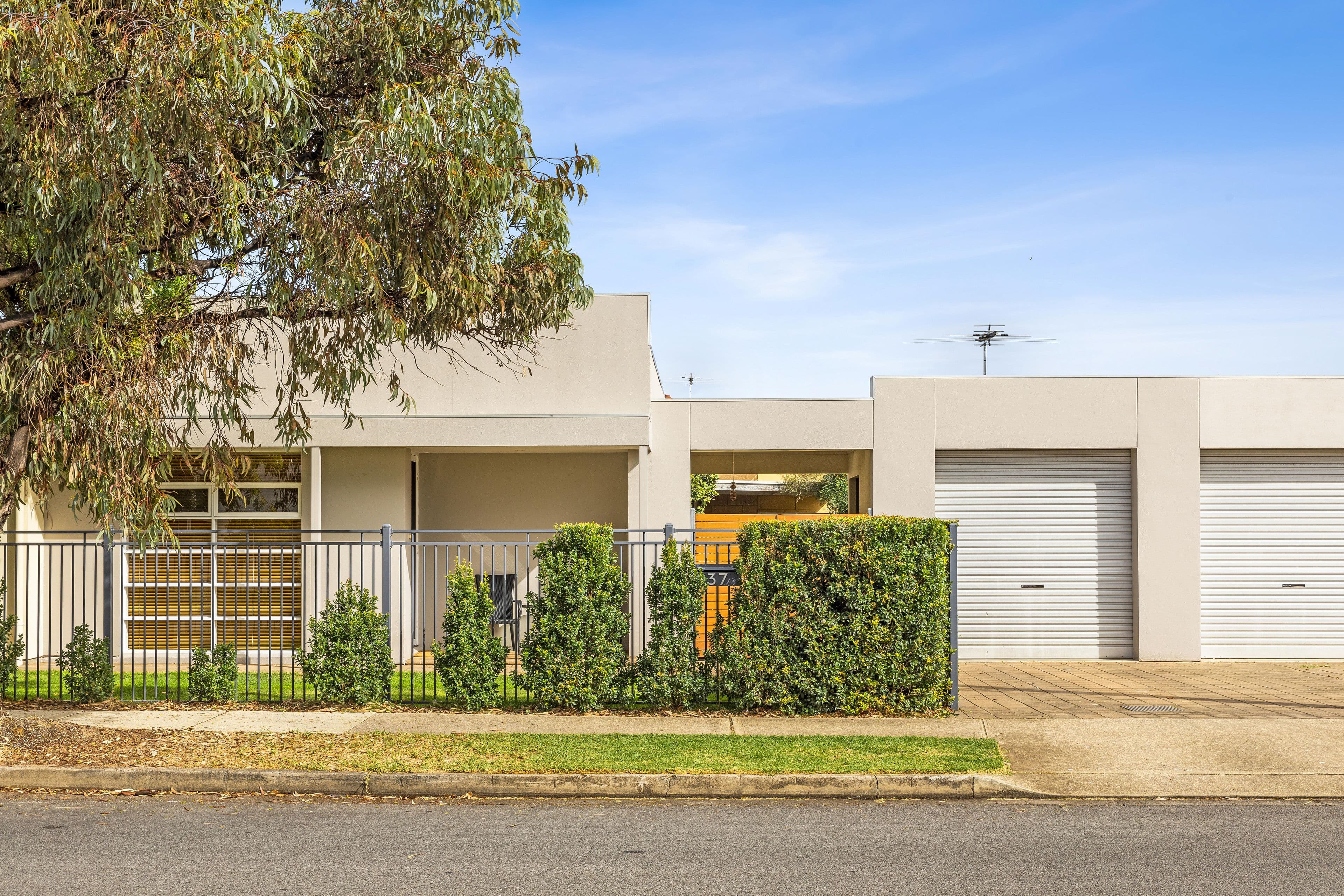 37 Elder Terrace, Glengowrie SA 5044, Glengowrie - Thumbnail 2