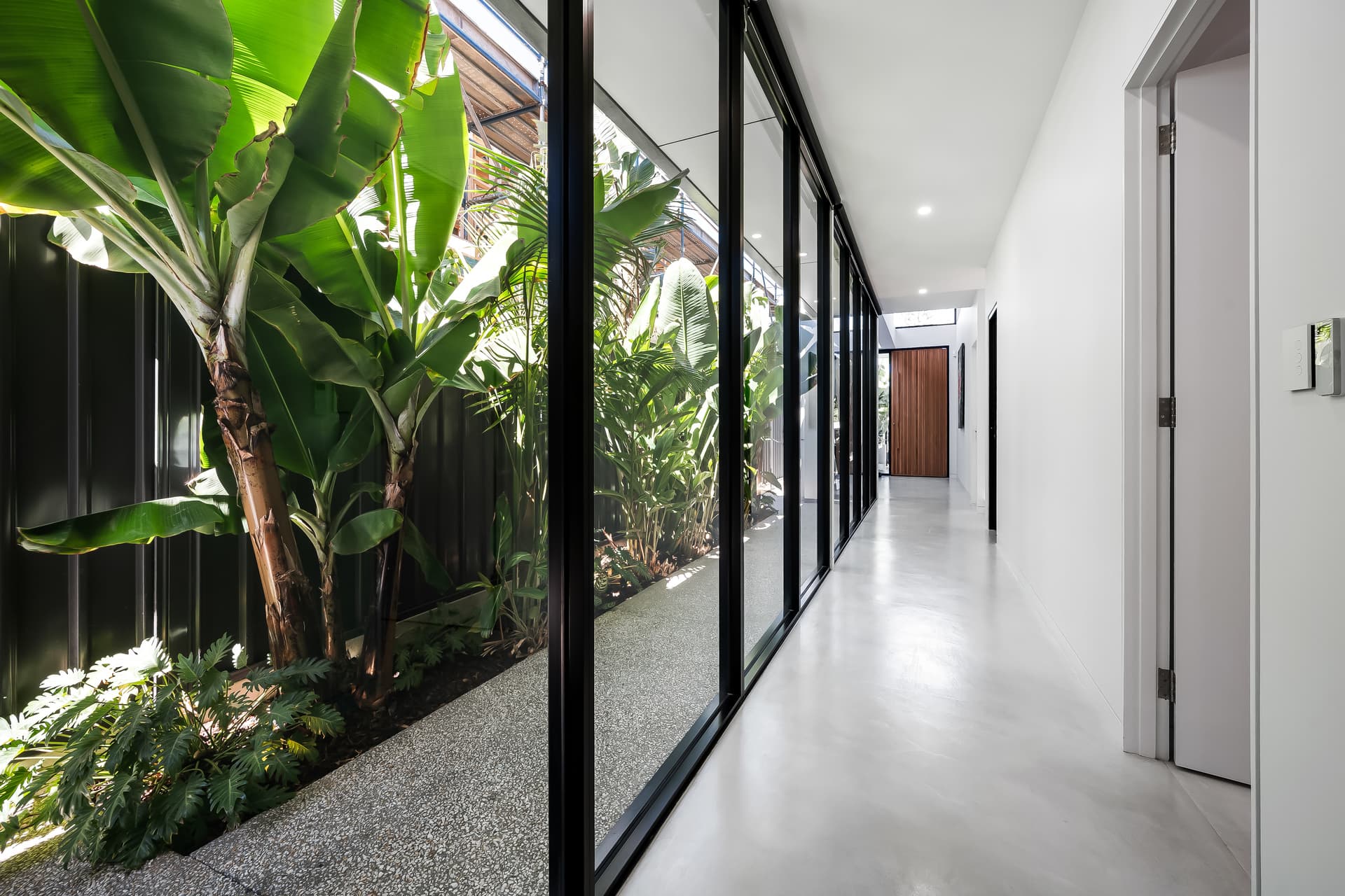 4a Murray Street, Fulham Gardens - Thumbnail 3