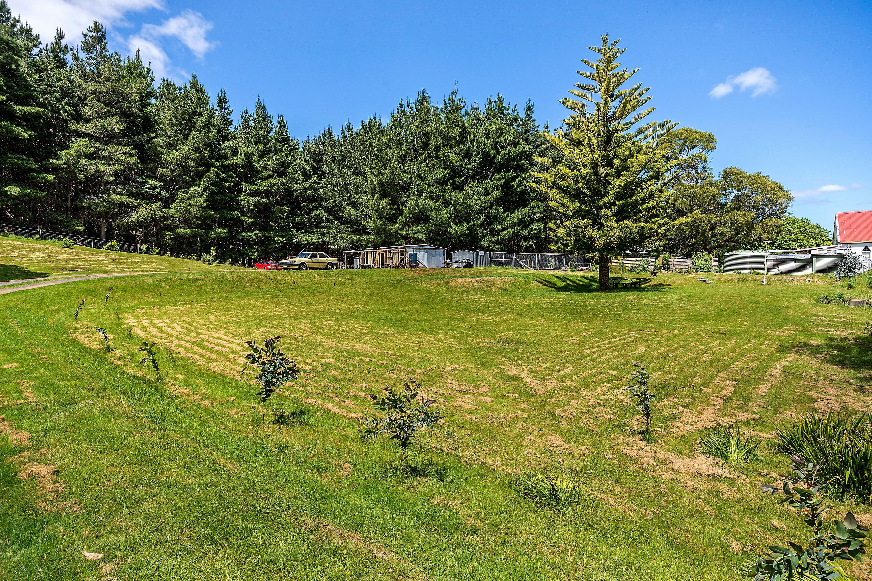 936 Golconda Road, Lebrina TAS 7254, Lebrina - Thumbnail 2