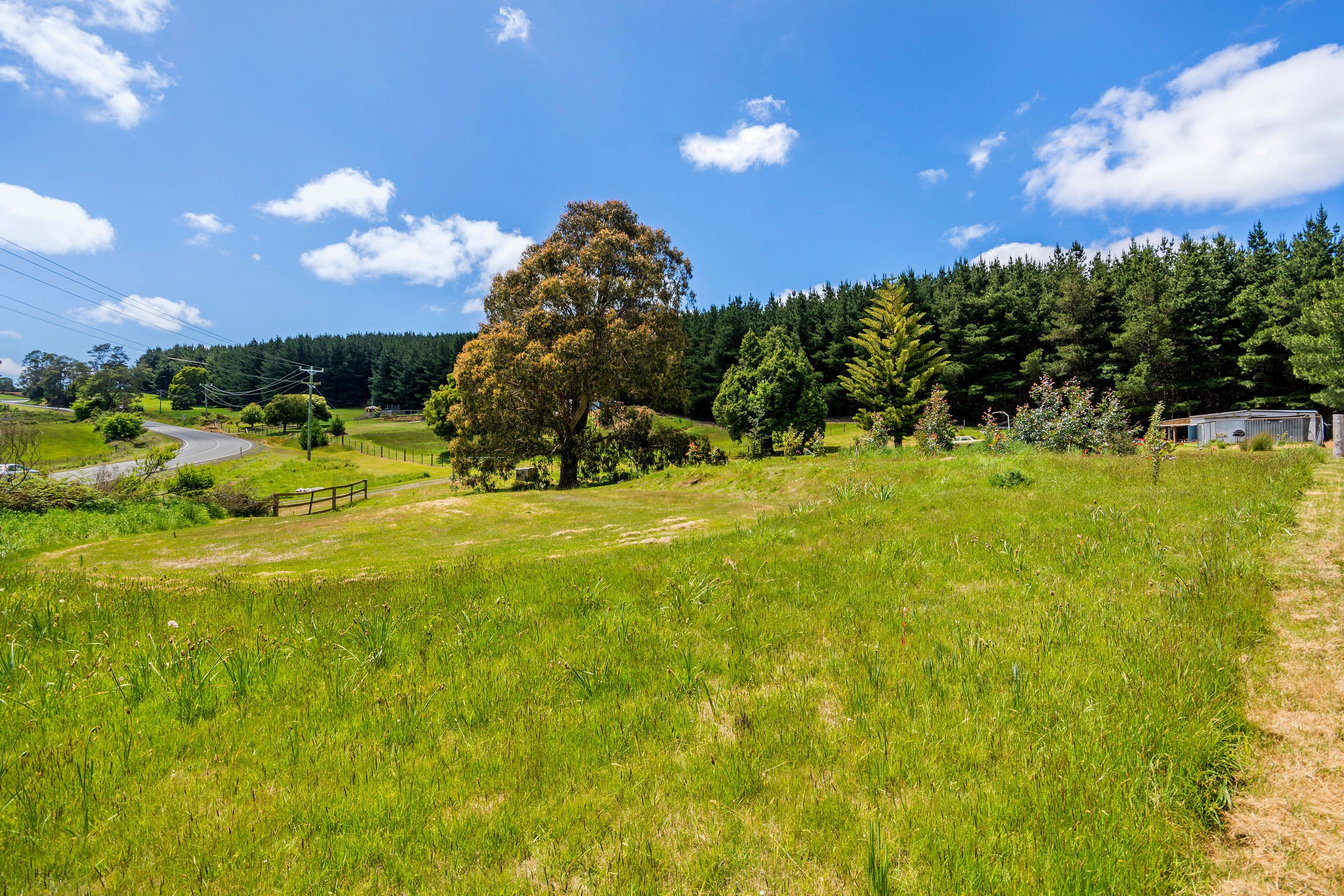936 Golconda Road, Lebrina TAS 7254, Lebrina - Thumbnail 7