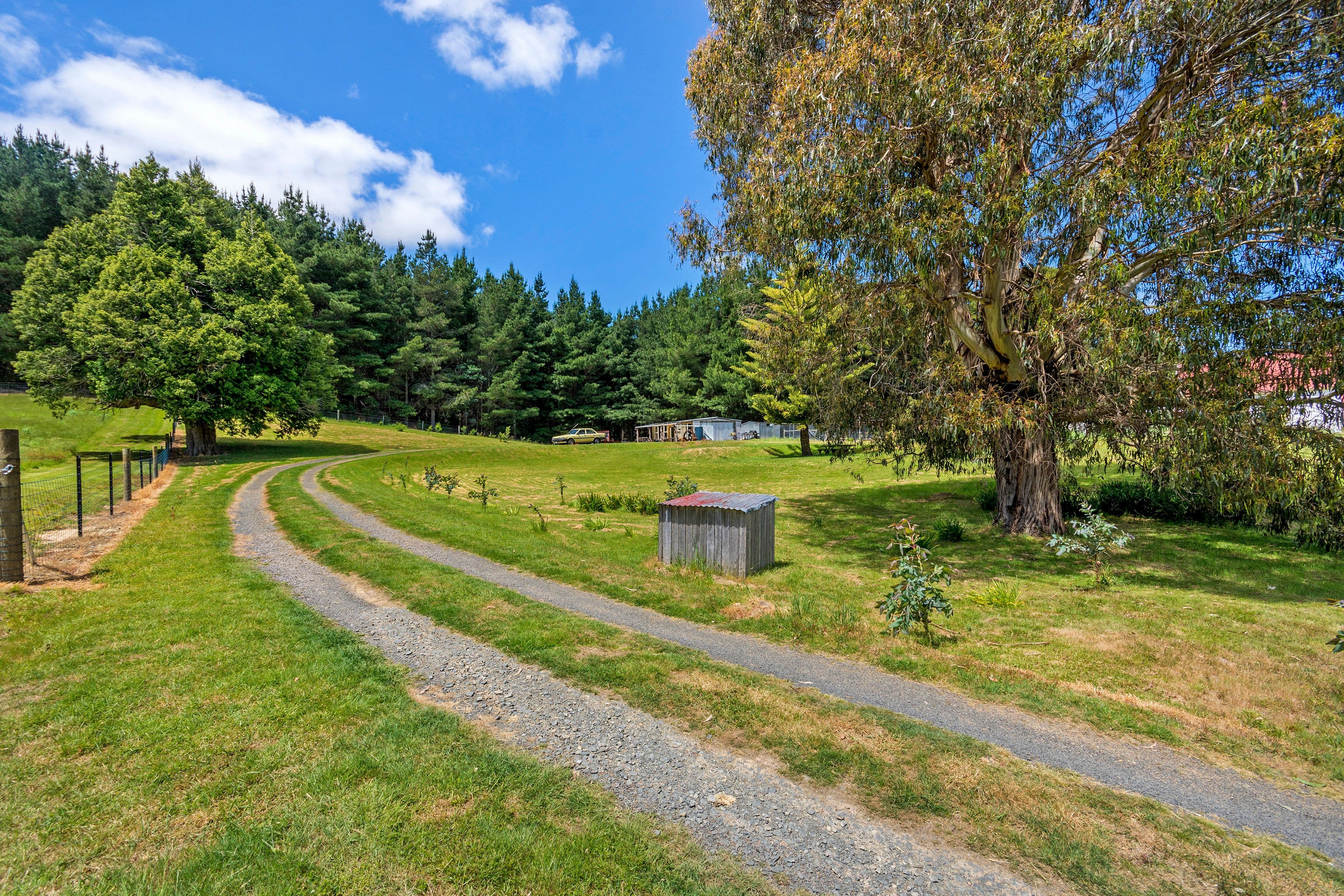 936 Golconda Road, Lebrina TAS 7254, Lebrina - Thumbnail 8