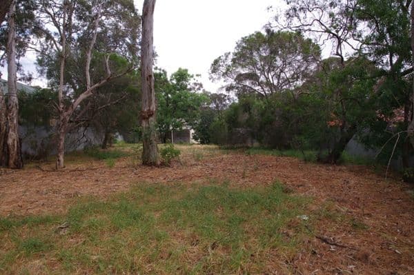 6 Railway Terrace, BLACKWOOD SA 5051, Blackwood - Thumbnail 7