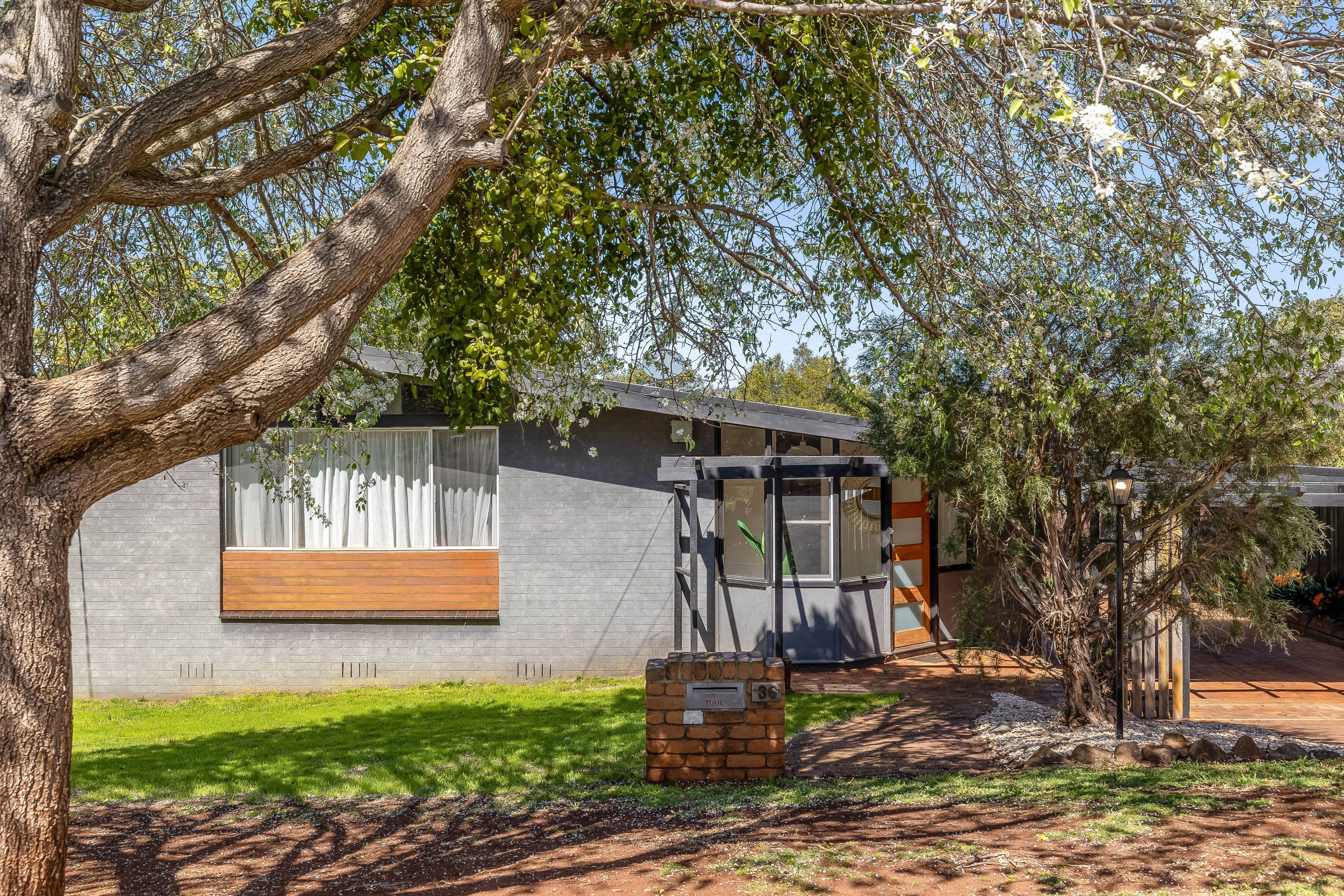 36 Debra Street, Centenary Heights QLD 4350, Centenary Heights - Thumbnail 2