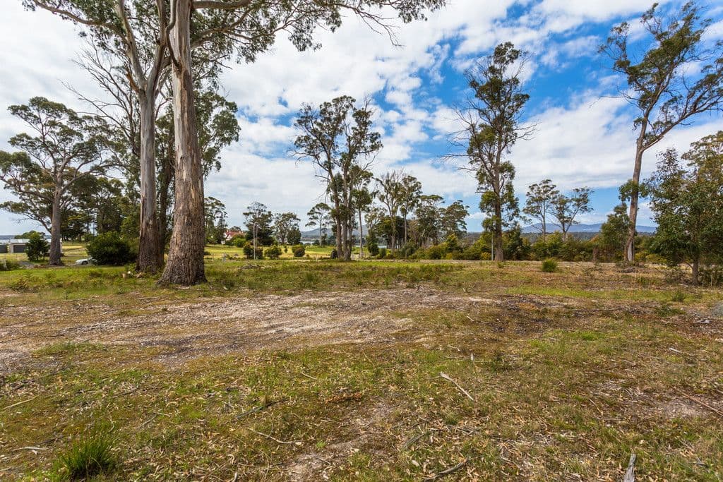 2 Inglis Road, CLARENCE POINT TAS 7270, Clarence Point - Thumbnail 4