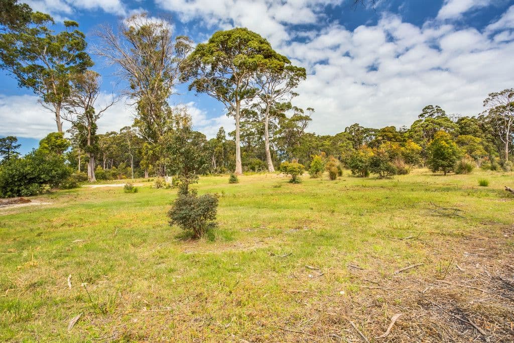 2 Inglis Road, CLARENCE POINT TAS 7270, Clarence Point - Thumbnail 5