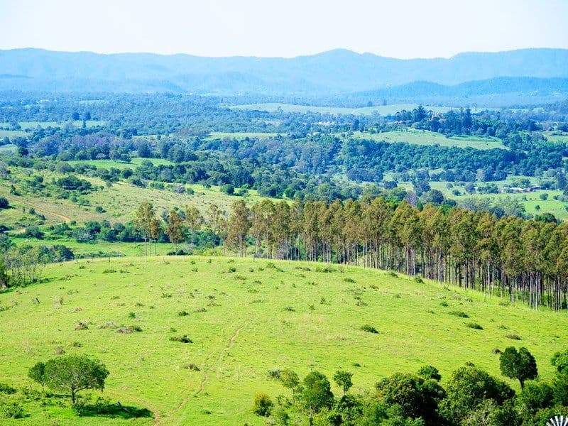 323 - 325 Tallegalla Two Tree Hill Road, MARBURG QLD 4346, Marburg - Image 1