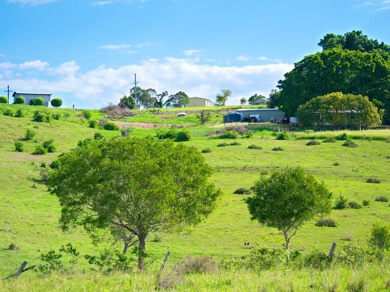 323 - 325 Tallegalla Two Tree Hill Road, MARBURG QLD 4346, Marburg - Thumbnail 4