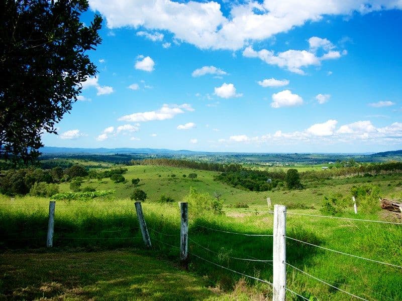 323 - 325 Tallegalla Two Tree Hill Road, MARBURG QLD 4346, Marburg - Thumbnail 5
