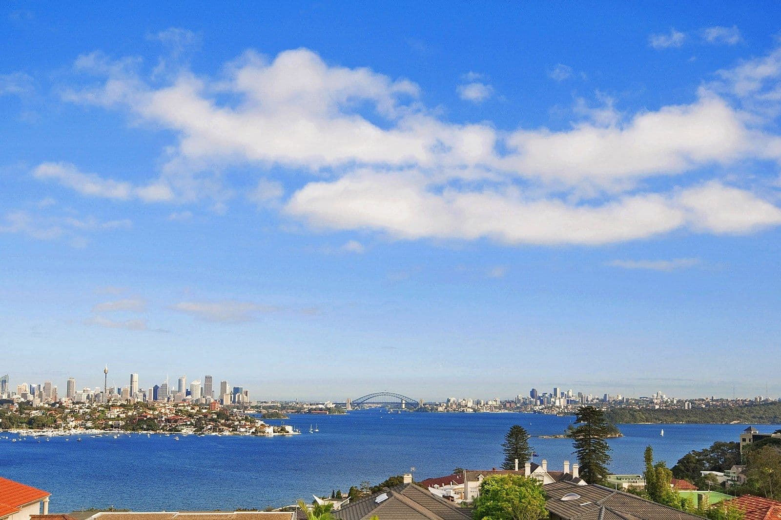 37 Chamberlain Avenue, Rose Bay - Thumbnail 8