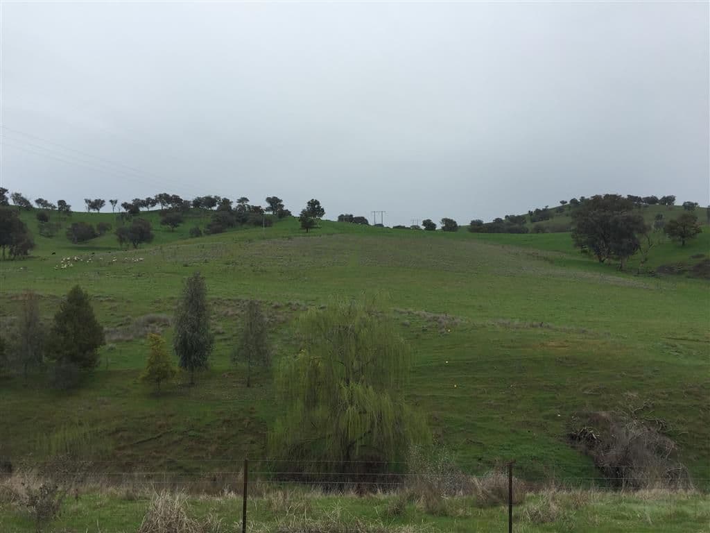 952 Sandy Creek Road, Adelong NSW 2729, Adelong - Image 1