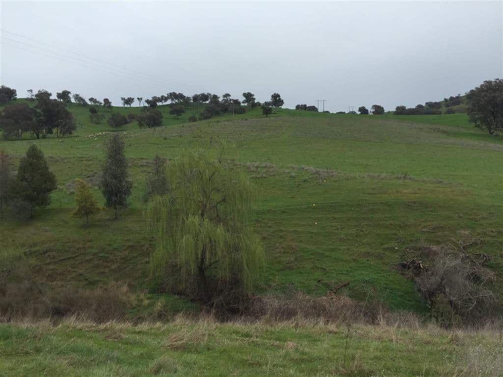 952 Sandy Creek Road, Adelong NSW 2729, Adelong - Thumbnail 5