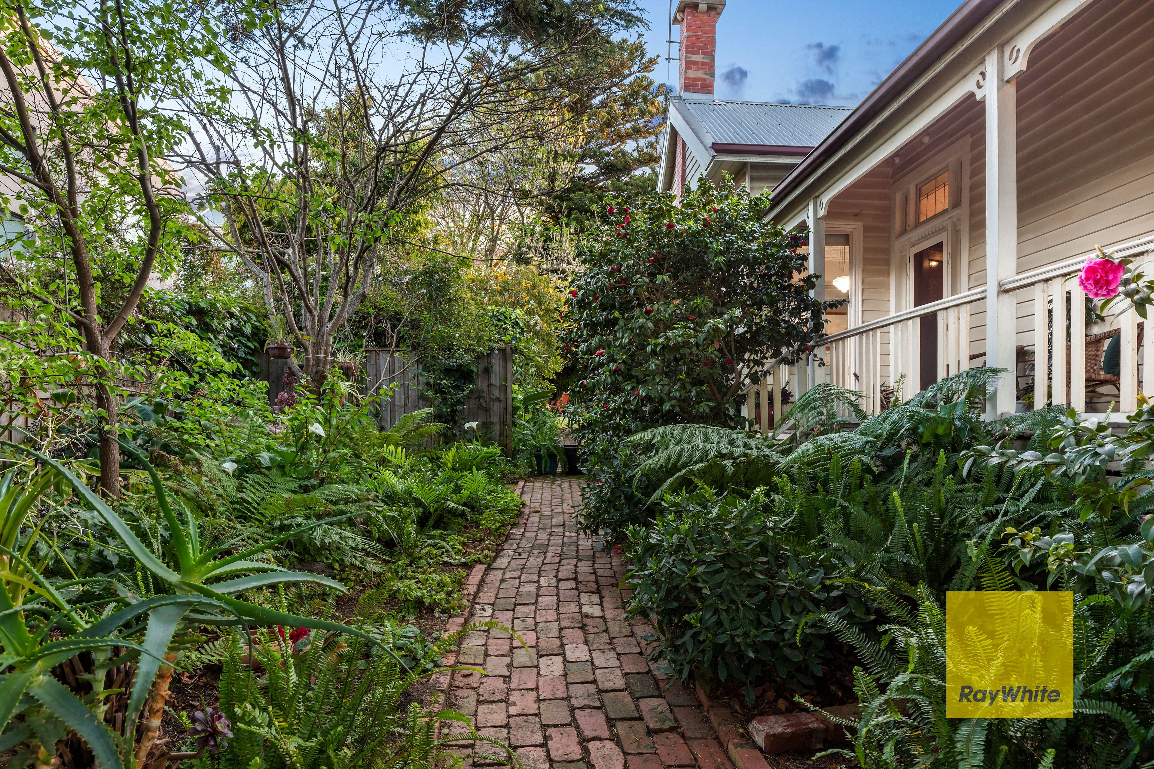 29 Mount Pleasant Road, Belmont VIC 3216, Belmont - Thumbnail 4