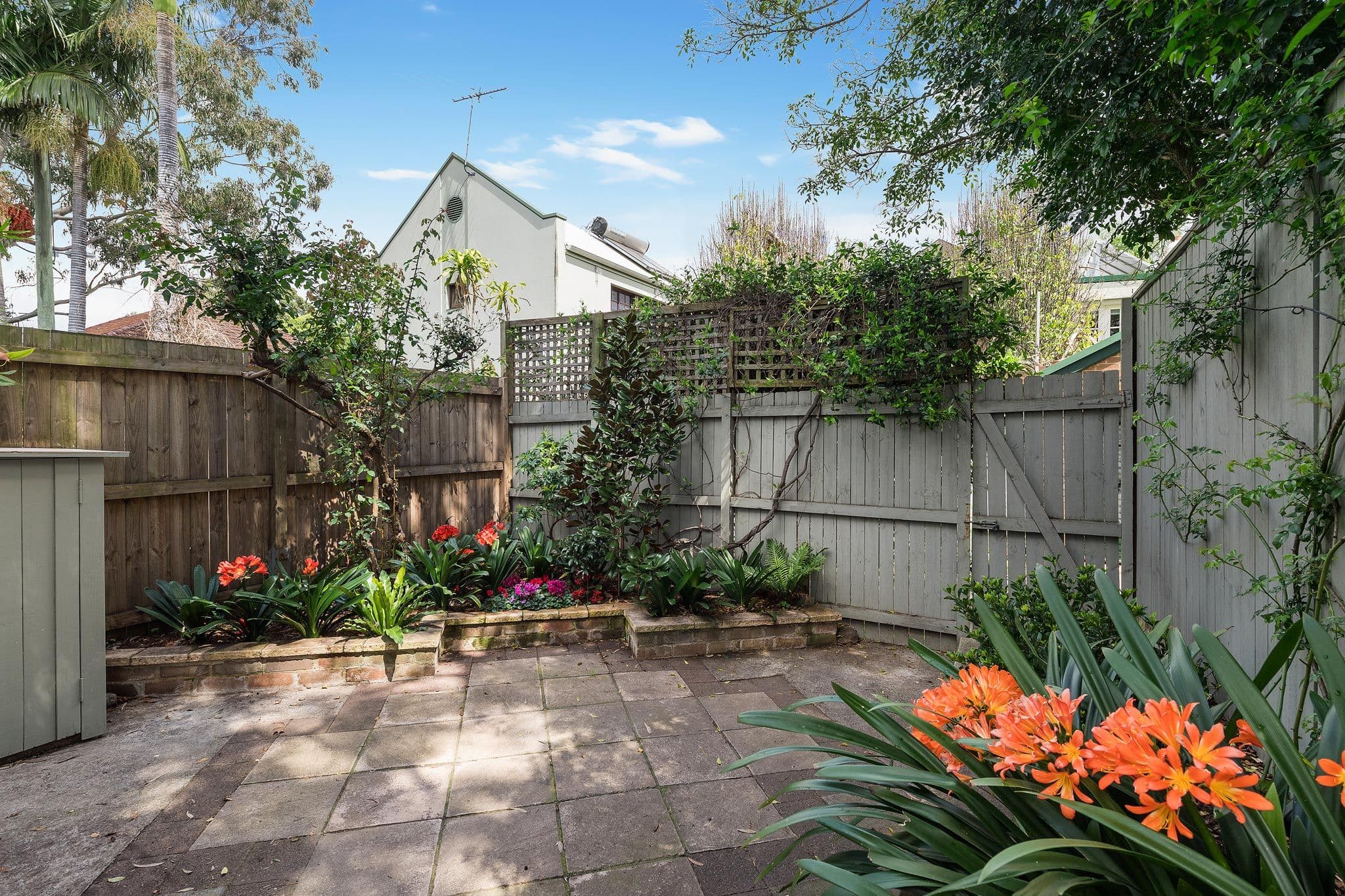 145 Probert Street, Newtown - Thumbnail 7
