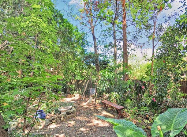 138 Burns Bay Road, LANE COVE NSW 2066, Lane Cove - Thumbnail 7